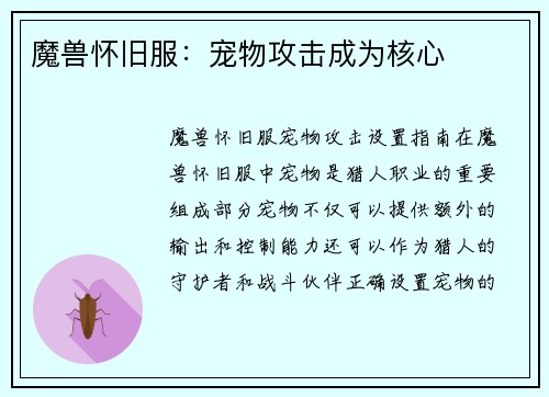 魔兽怀旧服：宠物攻击成为核心